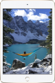 Apple iPad mini 4 poster